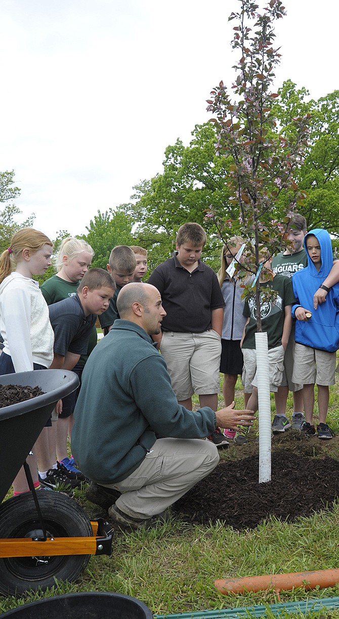 Students from St. Martin School walked to Niekamp Park on Friday to celebrate Arbor Day with tree planting, tree climbing, tree identification and playing underneath trees.