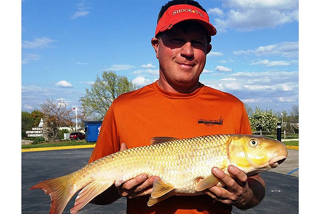 Dan Schmitz caught this nine-pound, 13-ounce state-record river redhorse at Tavern Creek near St. Elizabeth, Mo., on April 15, 2016.