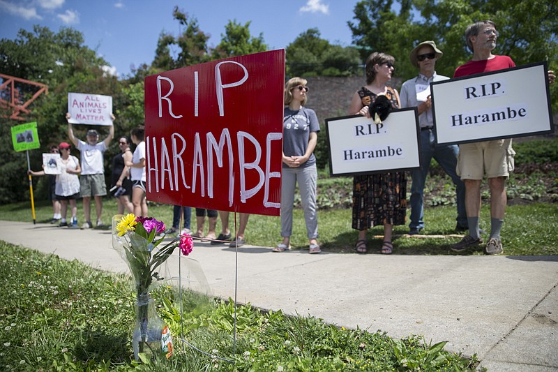 Animal rights activists and mourners gather for a Memorial Day vigil outside the Cincinnati Zoo & Botanical Garden on Monday in Cincinnati for Harambe, the gorilla killed Saturday at the Cincinnati Zoo. 