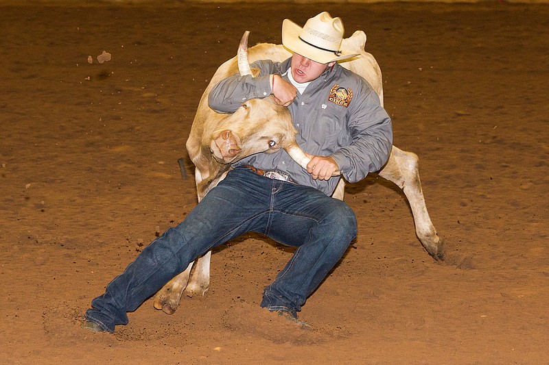 Myles Neighbors of Benton, Ark., wrestles a steer Thursday, June 2, 2016 at the AHSRA State Finals Rodeo at Four States Fairgrounds in Texarkana, Ark. It was the first day of the three-day event. Neighbors placed first in the first go with a time of 6.557 seconds, receiving 15 points.