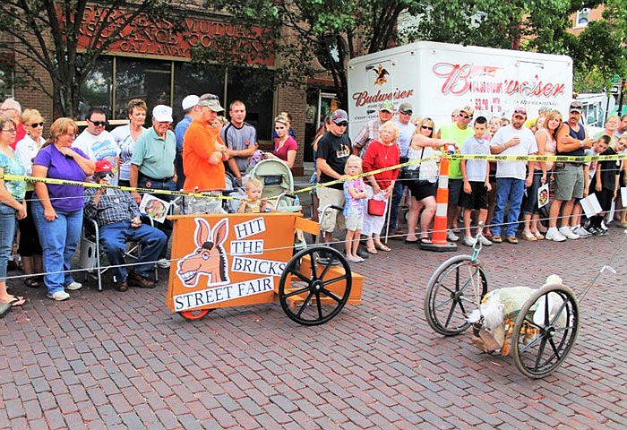 The Callaway Cup Mule Derby is an annual street fair event that helps raise funds for SERVE, Inc.