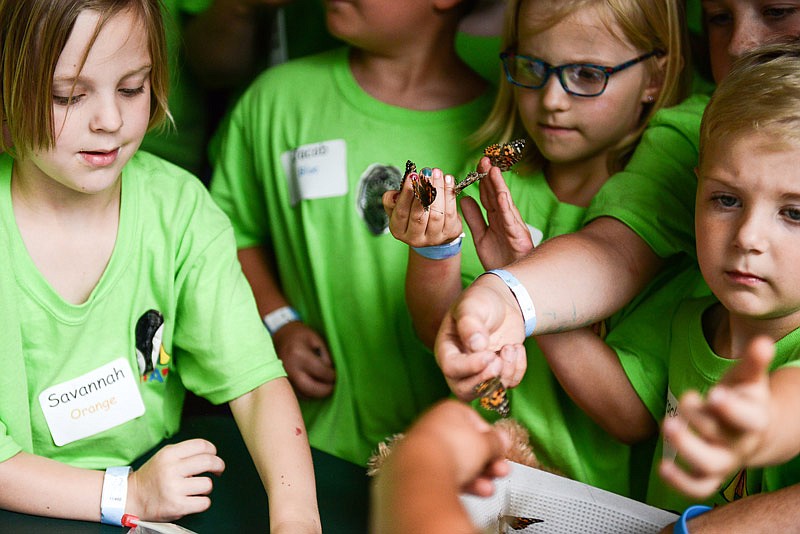 Young campers rush to grab small butterflies during Camp MAGIC's remembrance ceremony and release the butterflies on Saturday, June 4, 2016 at Jefferson City's Binder State Park.