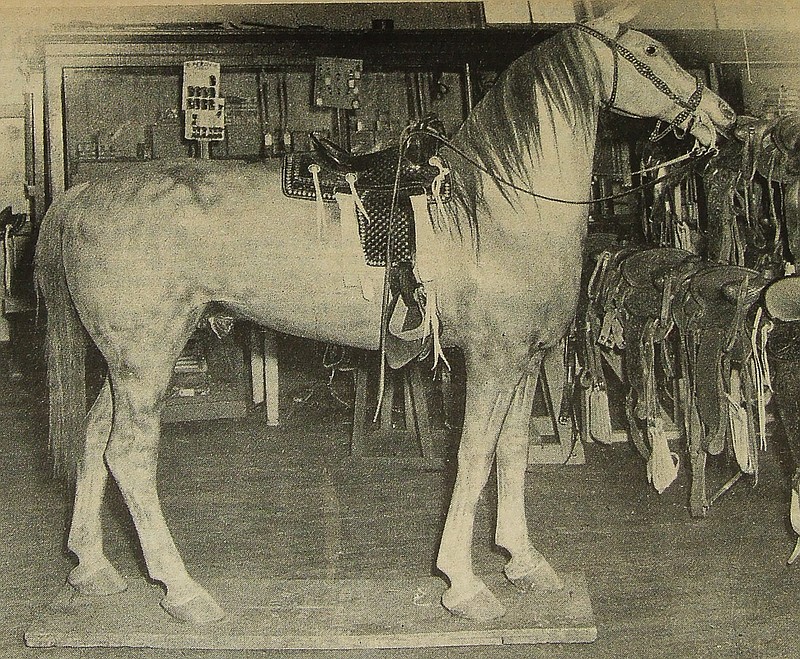 The horse at Heck Saddlery as shown above was from an old picture reprinted in the California Democrat in 1982.