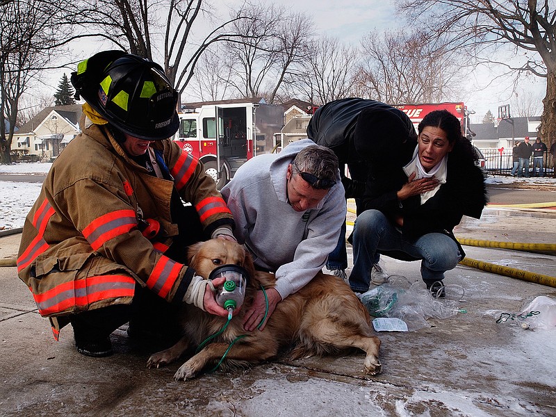 ADVANCE FOR SUNDAY, JUNE 26 - FILE - In this Dec. 9, 2010, file photo, Amira Bichara, right, gasps in relief when a golden retriever rescued from a house fire begins breathing normally, as a firefighter and resident administer oxygen in Kettering, Ohio. Under a new Ohio law taking effect Aug. 31, 2016, firefighters and EMTs can provide basic first aid to dogs and cats rescued from house fires, car accidents or other crisis situations, treatment that only licensed veterinarians could legally provide under existing law.