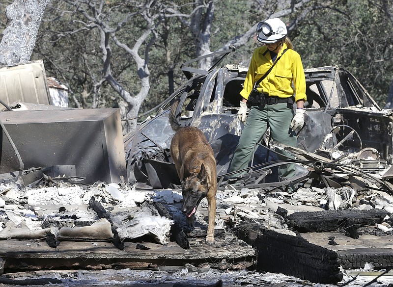 Inca, a cadaver dog, and her handler Mary Cablk search the burned ruins of a home Monday, June 27, 2016, in Squirrel Valley, Calif. The blaze had killed an elderly couple who were found Friday after apparently being overcome by smoke. The fire has burned more than 70 square miles and is 40 percent contained.