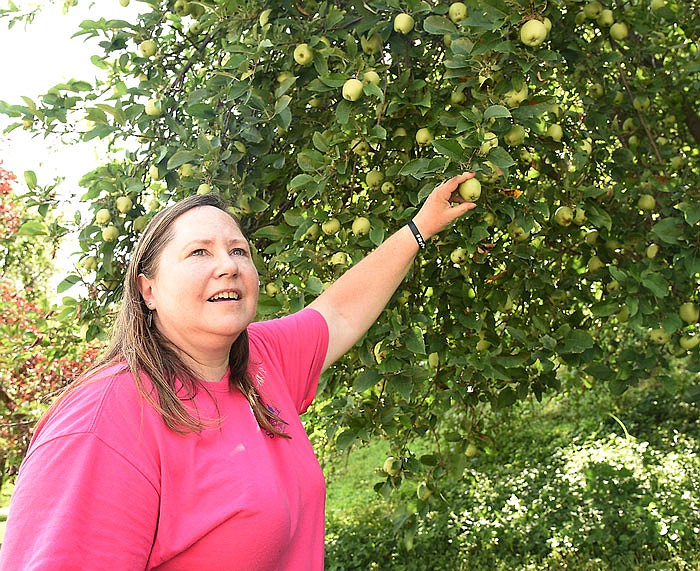 Jane Beetem is excited at the prospect to find volunteers to care for and pick fruit from trees belonging to people who are unable to do the work but don't want to cut down the trees. They can also help care for them and receive the overflow if the crop is particularly bountiful.