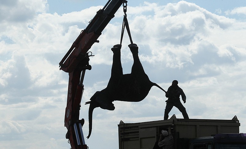 In this Tuesday July 12, 2016 photo, an elephant is lifted by a crane in an upside down position in Lilongwe, Malawi, in the first step of an assisted migration of 500 of the threatened species. African Parks, which manages three Malawian reserves is moving the 500 elephants from Liwonde National Park, this month and next, and again next year when vehicles can maneuver on the rugged terrain during Southern Africa's dry winter. 