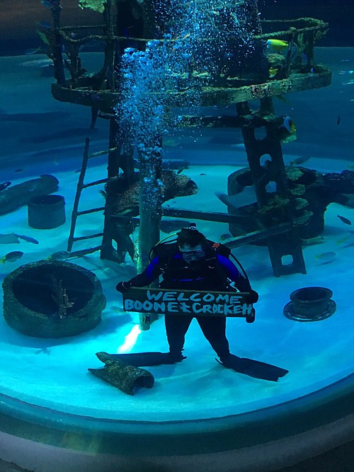 A scuba diver in one of the many Wonders of Wildlife Aquariums greets attendees of the Boone and Crockett Club's recent 29th Big Game Awards.