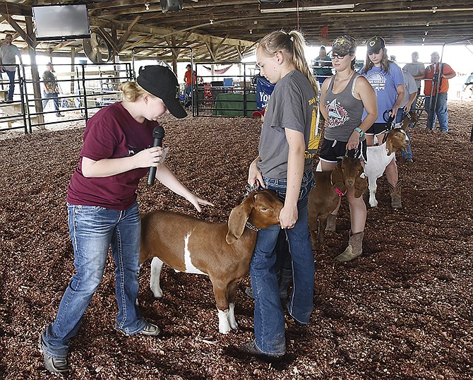 Bryana Binkley, left, talks about what features judges look for in meat goats when they are in the ring. At right, are volunteer exhibitors Melanie Loesch, Victoria Forck, Mariah Forck and MacKenzie Loesch.