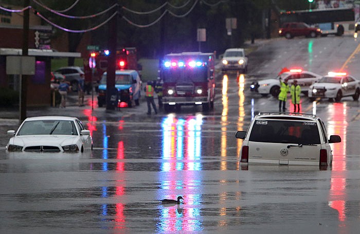 A duck swims past a couple of cars stuck in floodwater over South Hanley Road just north of Manchester Road on the Maplewood-Brentwood city line on Monda. More than 7 inches of rain in parts of Missouri led to scattered evacuations, power outages and flood warnings.