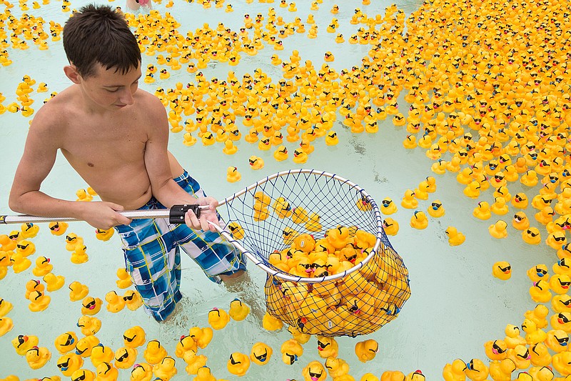 Andrew Powell, 14, fishes ducks out of the Lazy River Saturday, Aug. 20, 2016 at Holiday Springs Water Park. The duck race is a fundraiser for CHRISTUS St. Michael's electrophysiology lab.