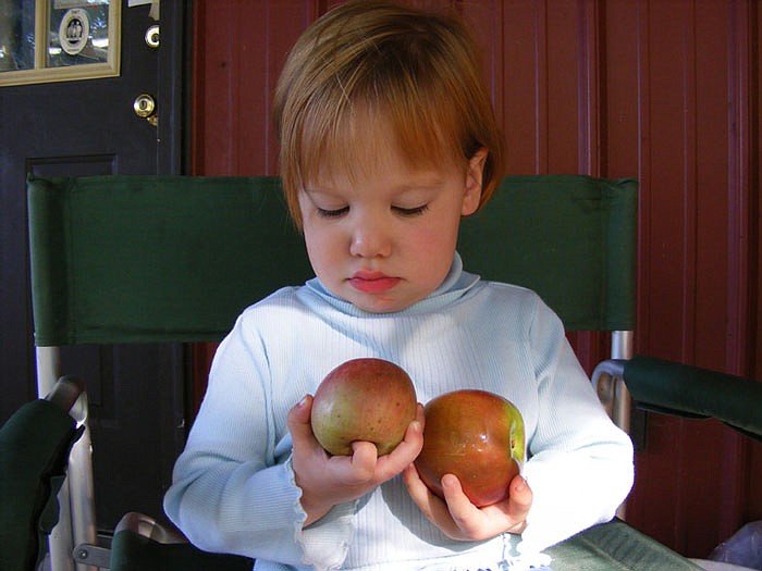 Mia Sherrow holds two apples picked from Binder's Hilltop Apple and Berry Farm in 2012. Located in Mexico, Missouri, visitors can find more than 18 varieties of apples to pick.