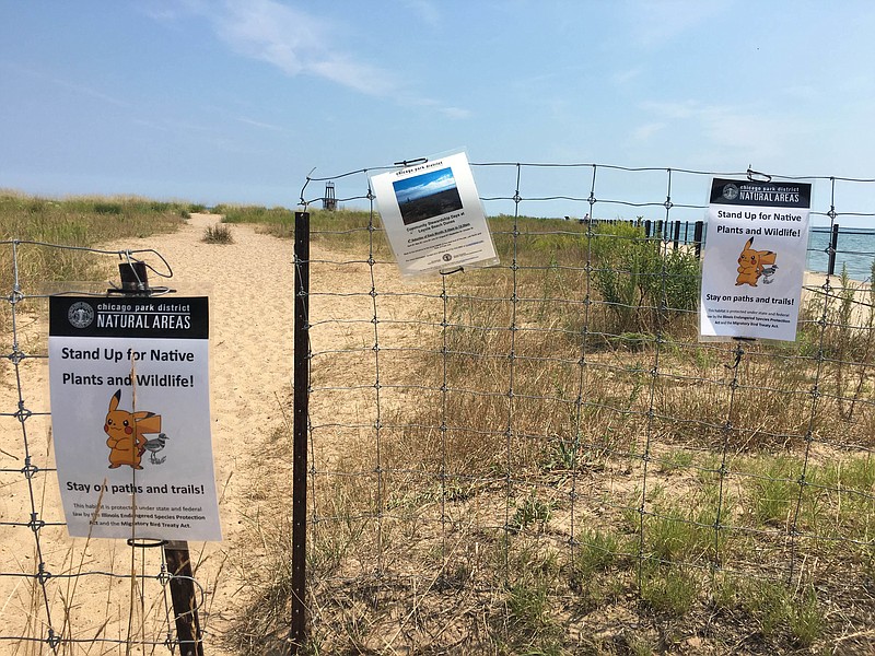 In this Aug. 10, 2016 photo, signs are posted asking Pokemon Go players to stay on the path instead of walking through the grass to protect wildlife at the Loyola Dunes area on Chicago's lakeshore. The protected dunes have become a popular hot-spot for Pokemon Go players. The heavy foot-traffic has raised concerns about environmental damage and inspired an Illinois state lawmaker to propose legislation to require removal of certain places from the game. The bill is one of the first of its kind in the US. 