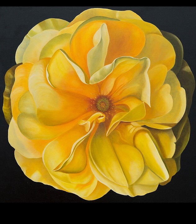Flowers are a favorite subject for artist Judy Falkoff.