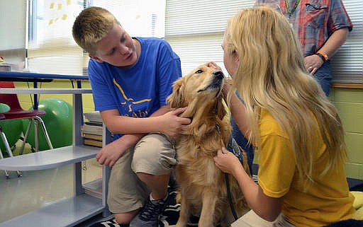 In this Sept. 6, 2016, photo, Martin Luther School students Kolton Myers, left, and Allie Fiscus pet Louie, a golden retriever that is part of Immanuel Lutheran Church's comfort dog ministry in Joplin, Mo. Louie was among two dogs and six people wounded when a man opened fire in Joplin on Aug. 13. He is recovering and slowly returning to service. (Joe Hadsall/The Globe via AP)