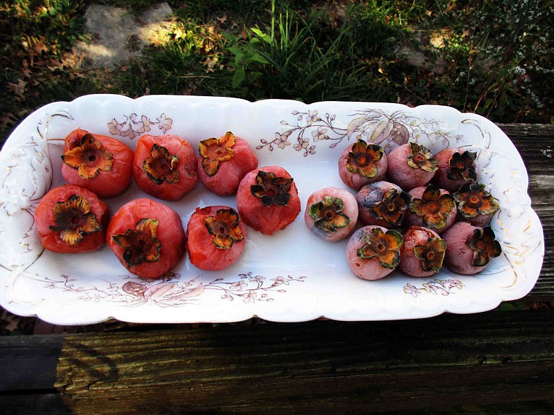 Persimmons have a high sugar content, making them a great ingredient for cakes and cookies.