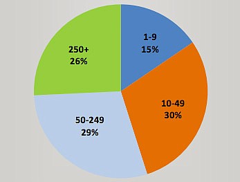 Small businesses in Missouri employ a large part of the private sector workforce, according to a 2015 survey by the Missouri Department of Economic Development. As shown in the agency's chart above, forty-five percent of private sector employees work for a small business, defined as having less than 50 employees. 