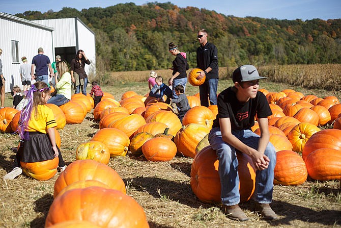 Patrons browse the giant pumpkin section on Main Street in Hartsburg during the town's 2015 Pumpkin Festival.