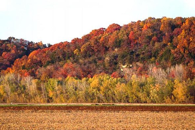 The Missouri Department of Conservation encourages people to discover nature through fall-color fun, such as driving roads along the Missouri River. This picture from a past fall was taken near Hartsburg.