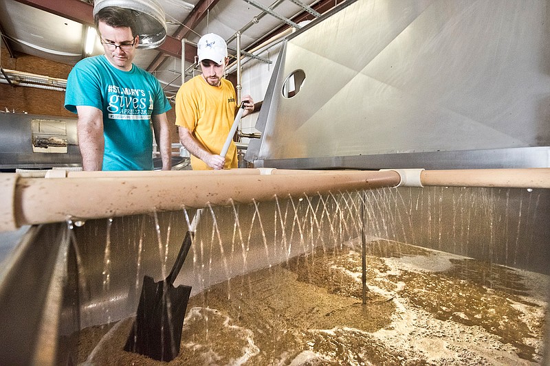 In this Thursday, Oct. 6, 2016 photo, Father Ryan Higdon, left, looks on as assistant brewer Parker Sheridan agitates the mash while sparging the first batch of "Ale Mary,"  at New Republic Brewing in College Station, Texas.