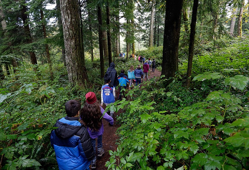 In this Oct. 6, 2016 photo, Outdoor School students walk through the dense forest on their way to a lesson at Camp Howard in Mount Hood National Forest near Corbett, Ore. The outdoor education is unique to Oregon and is a rite-of-passage for public school students that's meant to instill a respect for nature in each generation--studies show it improves attendance and boosts test scores.