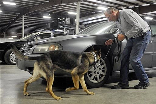 In this Oct. 14, 2016 photo, Lebanon Police Officer Rodney VanSickle leads his dog Zidane through a drug search drill at the Central Missouri Events Center in Columbia, Mo. The Boone County Sheriff's Department is holding an eight-week training course for three new police dogs, two with the Lebanon Police Department and another with the Rolla Police Department. (Sarah Bell/Columbia Daily Tribune via AP)