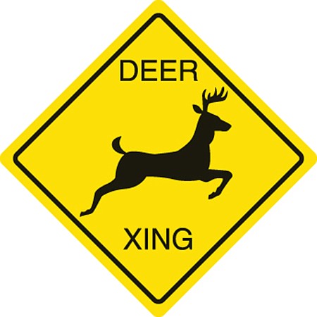 Officials warn drivers of danger with deer | Jefferson City News Tribune