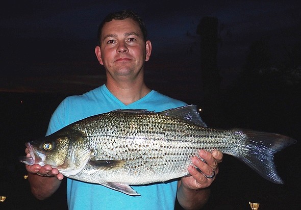 Camdenton angler catches state-record hybrid striped bass | Jefferson ...