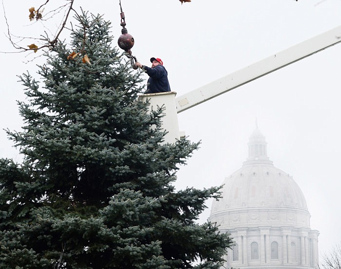 In this Dec. 2, 2013 file photo, Paul Case releases the hook from the cable used to hoist a 30-foot Blue Spruce onto the lawn of the MIssouri Governor's Mansion. The 2013 holiday tree was courtesy of Jose and Floetta Carrera of St. Peters.