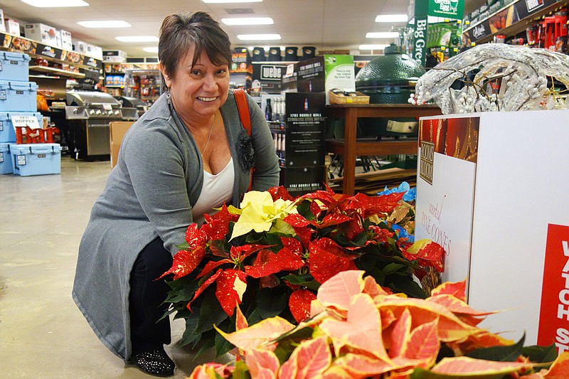 Becky Houf contemplates a giant cream-and-red poinsettia on Wednesday, Nov. 23, 2016 at Westlake Ace Hardware in Fulton. "I'm getting this one," she said.