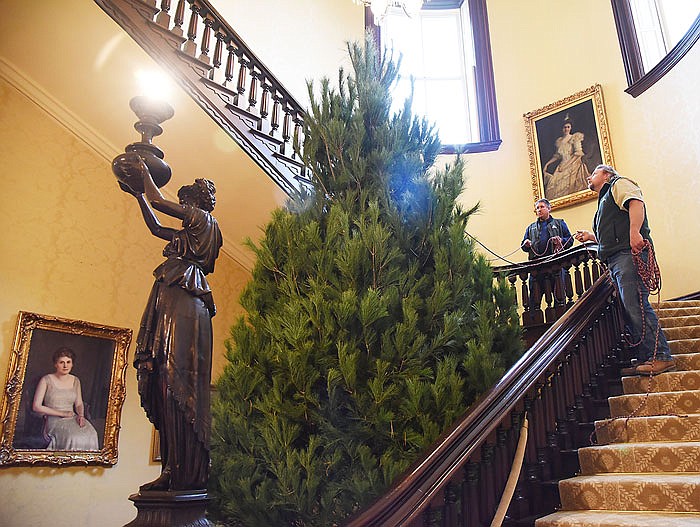 Tom Jingst, right, and Russell Clennin, both of the Misssouri Department of Conservation, tug at the rope around an 18-foot white pine tree to get it situated inside the stairwell in the Governor's Mansion. The inside tree is from Pea Ridge Forest, a Christmas tree farm near Hermann. It will be decorated for Christmas activities that begin with the annual tree lighting at 6:15 p.m. Friday.