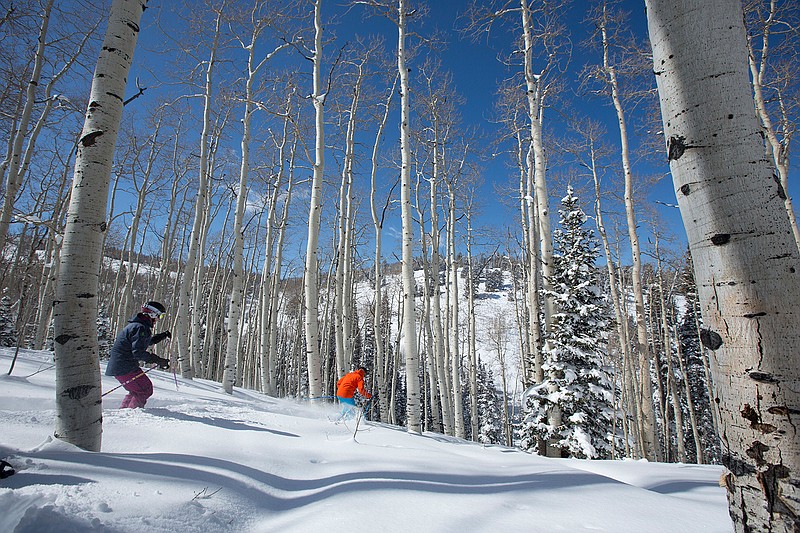 This undated photo provided by Deer Valley Resort in Park City, Utah, shows skiers making their way through a powder stash through the trees. The luxury resort is a popular destination for stars heading to the annual Sundance Film Festival but it's Deer Valley's untracked snow that advanced skiers prize, with powder stashes in the trees that are about as good as they get. 