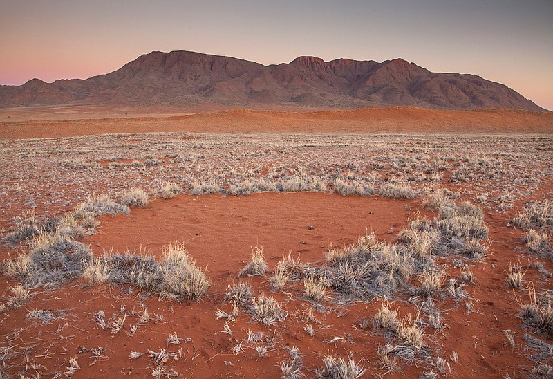 In this photo provided by Jen Guyton, one of the mysterious "fairy circles" in the Namib desert that dot the area with circular barren patches. Scientists have come up with a complex theory involving termites and plants to explain what's happening. 