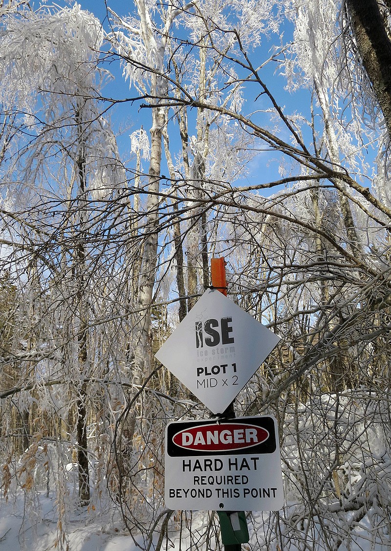 In this Sunday, Jan. 15, 2017 photo, a sign warns visitors to the Hubbard Brook Experimental Forest in Woodstock, N.H., about the danger of falling ice the morning after researchers sprayed trees with water to study the effects of ice on northern forests.