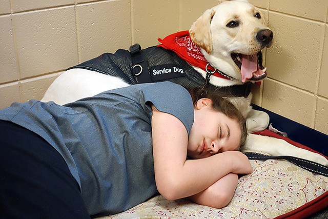 Sixth-grader Anna Brummer spends time with Dozer on Thursday at Jefferson City High School.