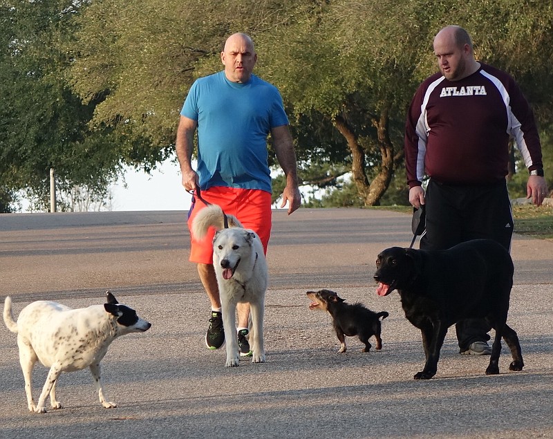  Here's a whole family of walkers at Atlanta High School. Chuck Rice and his son Ben Rice walk the family's dogs, all four of them.