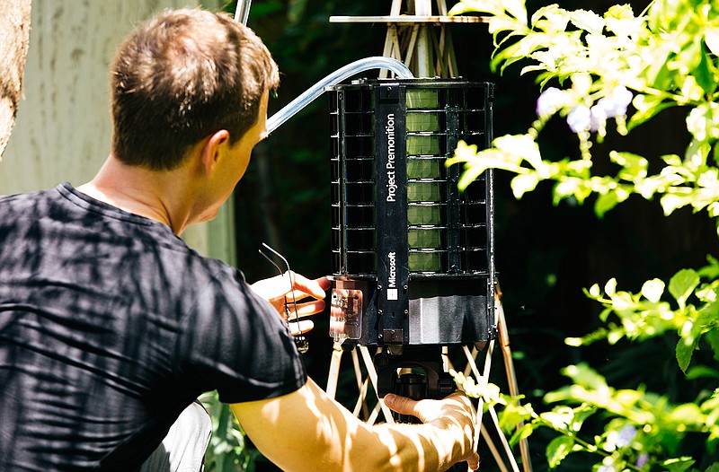 In this photo provided by Microsoft, Microsoft researcher Ethan Jackson sets up a trap for mosquitoes in Harris County, Texas in 2016. A new high-tech version trap is promising to catch the bloodsuckers while letting friendlier insects escape, and even record the exact weather conditions when different species emerge to bite. 