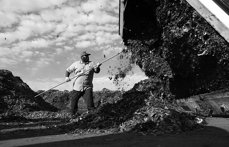 North Little Rock sanitation department worker Hermon Cunnignham pokes at a truck packed with residential leaf waste Nov. 17, 2010, as he unloads at American Composting Co. in North Little Rock.