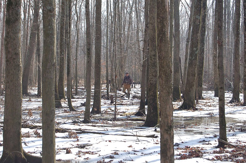 A hunter scours the woods in search of deer sign from the previous season.  