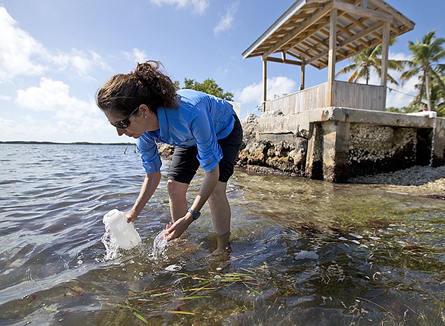 Sarah Egner, director of curriculum development at Marinelab in Key Largo, Florida, takes a water sample Feb. 7 to check for the presence of microscopic plastics in the water. Gulf Coast researchers are preparing to launch a two-year study to see what kinds of microscopic plastics can be found in the waters from south Texas to the Florida Keys. The project will expand a year's worth of data collected around the state of Florida that predominantly found microfibers, shreds of plastic smaller than the microbeads targeted by a federal ban.