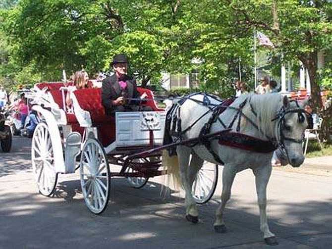 Carriage rides are part of the Charleston Dogwood-Azalea Festival, which runs April 21-23 this year in the small bootheel town. 