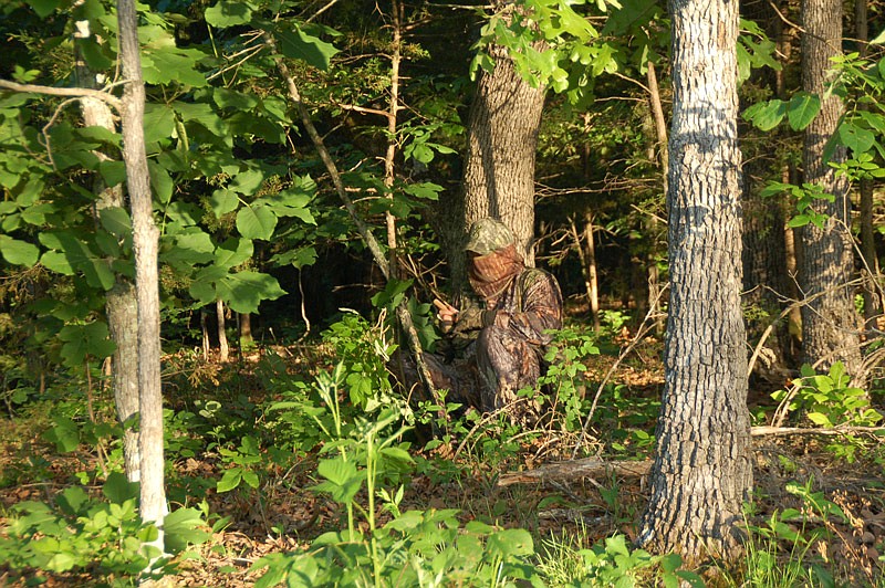 A turkey hunter hides in the underbrush working a call to lure in a gobbler.