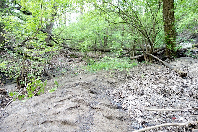 The woods near the supported living facility on Claymine Drive where Carl DeBrodie disappeared are full of dense underbrush and riddled with small streams.