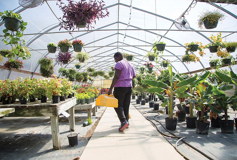 In a Wednesday, April 5, 2017 photo, Joycelyn Rhymer, 34, walks through one of seven greenhouses at Devereux Advanced Behavioral Health Texas before sweeping, in Victoria, Texas. The nonprofit has 50 participants in the vocational training program and more than 20 participants in the day habilitation.