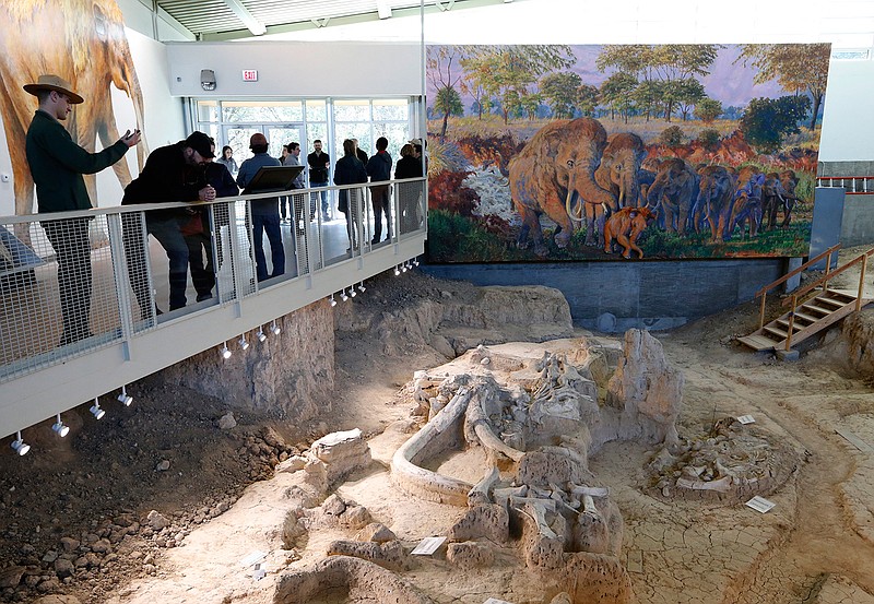 In a Jan. 26, 2017 photo, visitors to the Waco Mammoth National Monument look over exposed bones on display, in Waco, Texas. The question of what killed the Waco mammoths has unearthed strong feelings about 65,000 years later. A recent Baylor University study suggesting that the beasts might have died of drought rather than flood has raised questions from former scientists, including the man who oversaw the excavation of the bones years ago. 