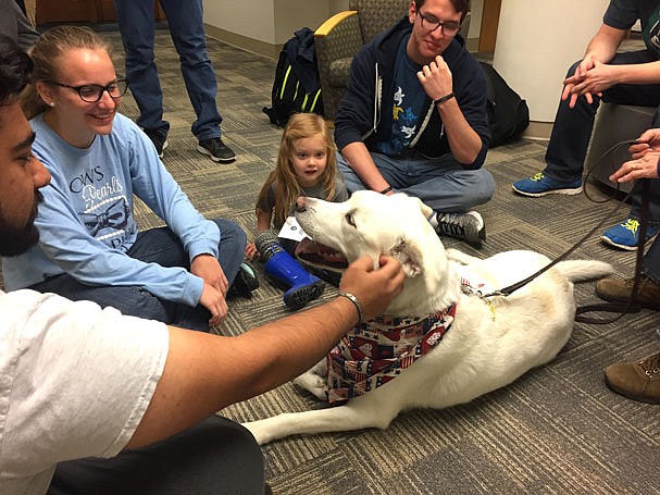Therapy dog Milo stopped by Reeves Library at Westminster College on Tuesday to spread some joy to students stressed from finals.