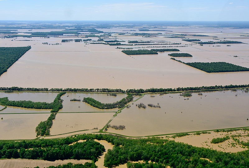 Coon Island Conservation Area in southern Butler County near Poplar Bluff, Mo., went completely underwater this past week. 