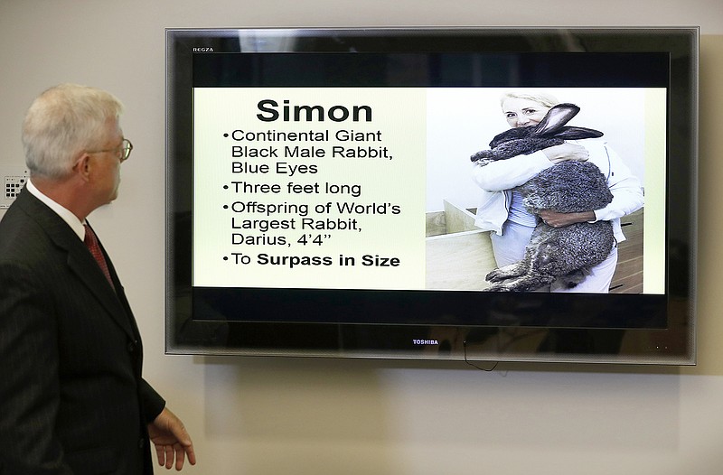 Attorney Guy Cook looks at a photo of Simon, a giant rabbit that died after flying from the United Kingdom to Chicago, during a news conference Monday in Des Moines, Iowa. The owners of the rabbit want to know more about the animal's death and an explanation of why he was so quickly cremated.