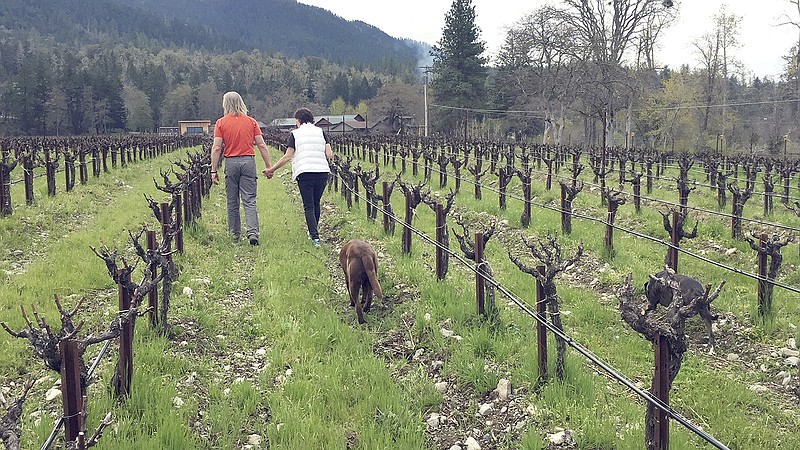 Bill and Barbara Steele walk through their vineyard April 4 outside Jacksonville, Oregon. The Steele's moved to this corner of southwestern Oregon more than a decade ago to produce their own wines and are now turning their attention to small-scale marijuana farming. The legalization of recreational marijuana in Oregon two years ago has opened the door for explosive growth in this fertile region and a handful of wineries and vineyards are diversifying by investing in the crop.