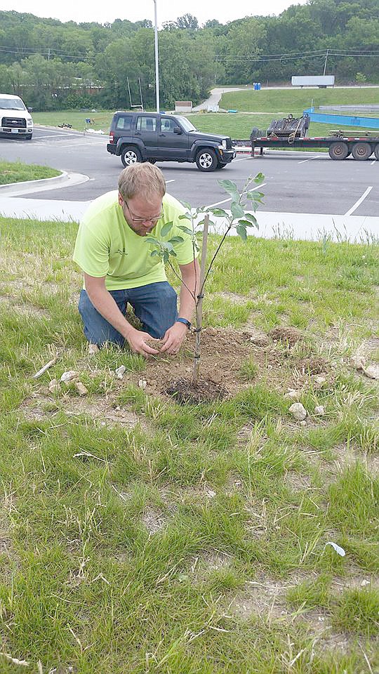 A partnership between Capital Region Medical Center and Jane Beetem, coordinator of the Adopt-a-Fruit-Tree program, has launched a new initiative to plant new and maintain existing fruit trees across Jefferson City. The kick-off to the Adopt-a-Fruit-Tree program began May 19 when six apple trees were planted on the property of The LINC wellness center, right next to the Boys & Girls Club's new facility at 1105 Lafayette St.